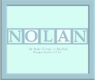 Nolan's Birth book cover