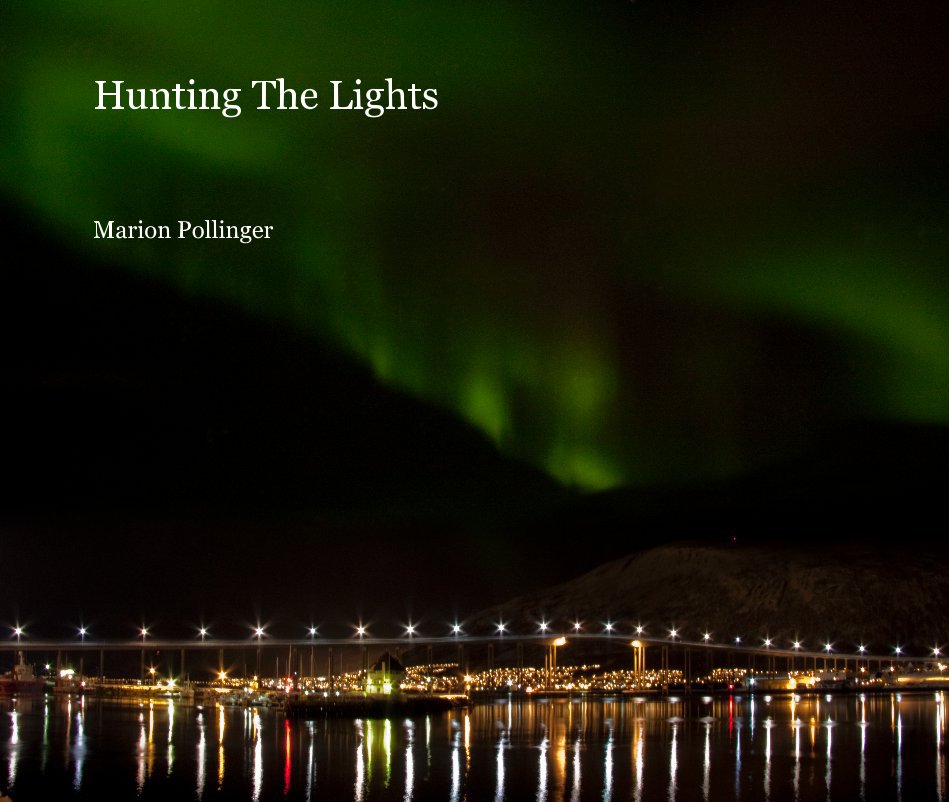 Ver Hunting The Lights por Marion Pollinger
