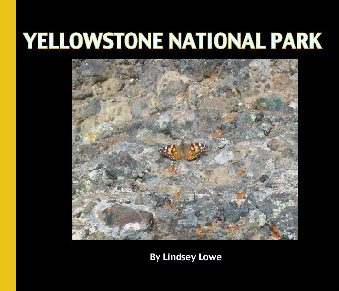Ver Yellowstone National park por Lindsey Lowe