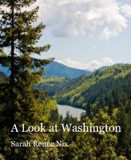 A Look at Washington book cover