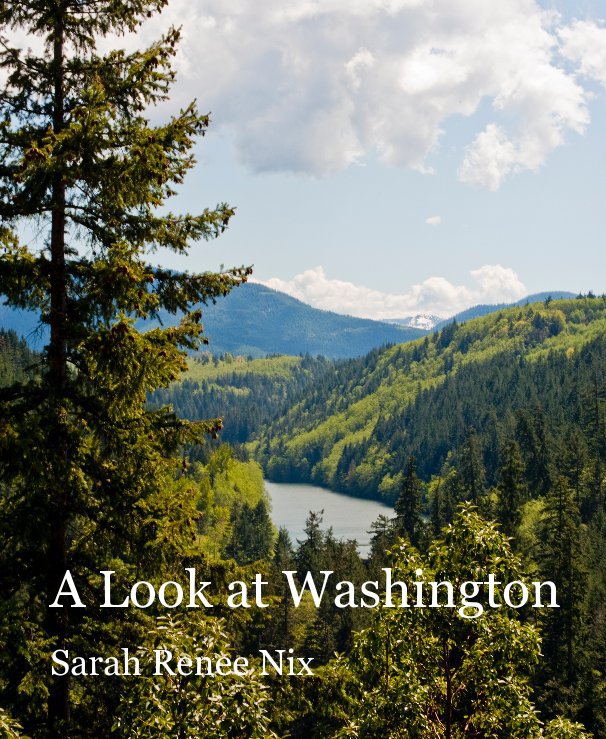 View A Look at Washington by Sarah Renee Nix