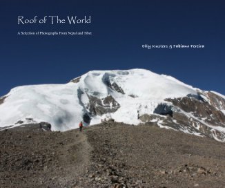 Roof of The World book cover