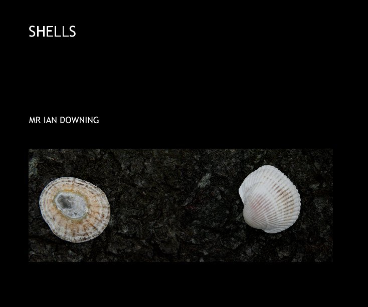 View SHELLS by MR IAN DOWNING