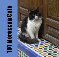 101 Moroccan Cats book cover