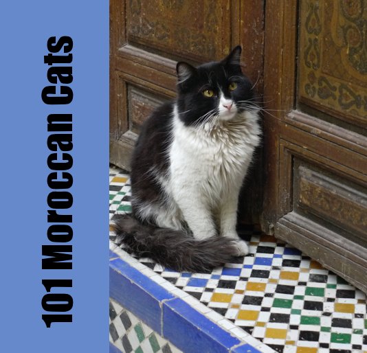View 101 Moroccan Cats by Rob Floor