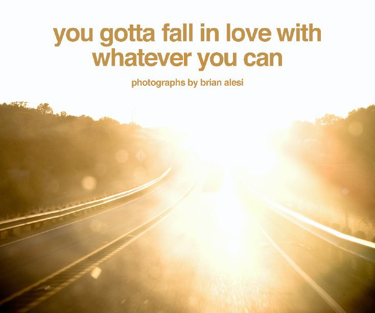 View you gotta fall in love with whatever you can by brian alesi