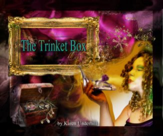 The Trinket Box book cover