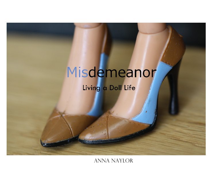 View Misdemeanor by Anna Naylor