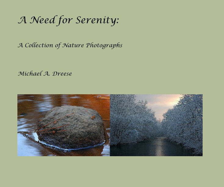 View A Need for Serenity by Michael A. Dreese