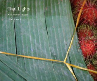 Thai Lights book cover