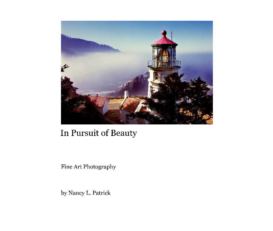View In Pursuit of Beauty by Nancy L. Patrick
