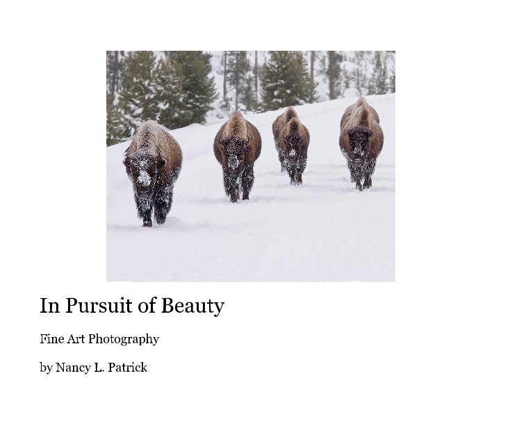 Bekijk In Pursuit of Beauty op Nancy L. Patrick
