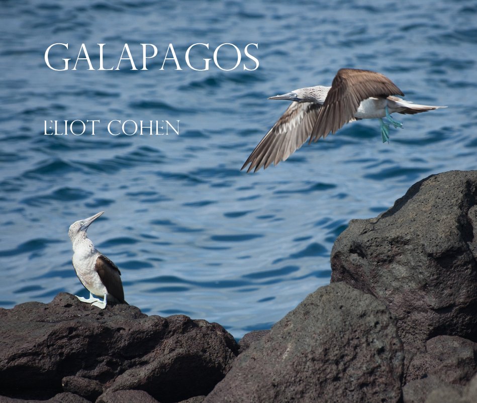 View Galapagos by Eliot Cohen
