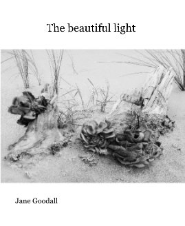 The beautiful light book cover