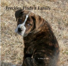 Freckles Finds a Family book cover