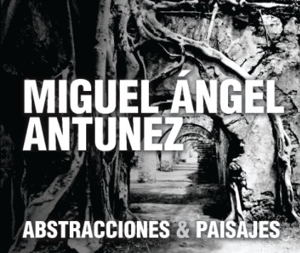 Miguel Ángel Atunez Baza book cover