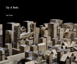 City of Books book cover
