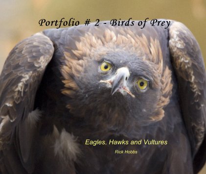 Portfolio # 2 - Birds of Prey book cover