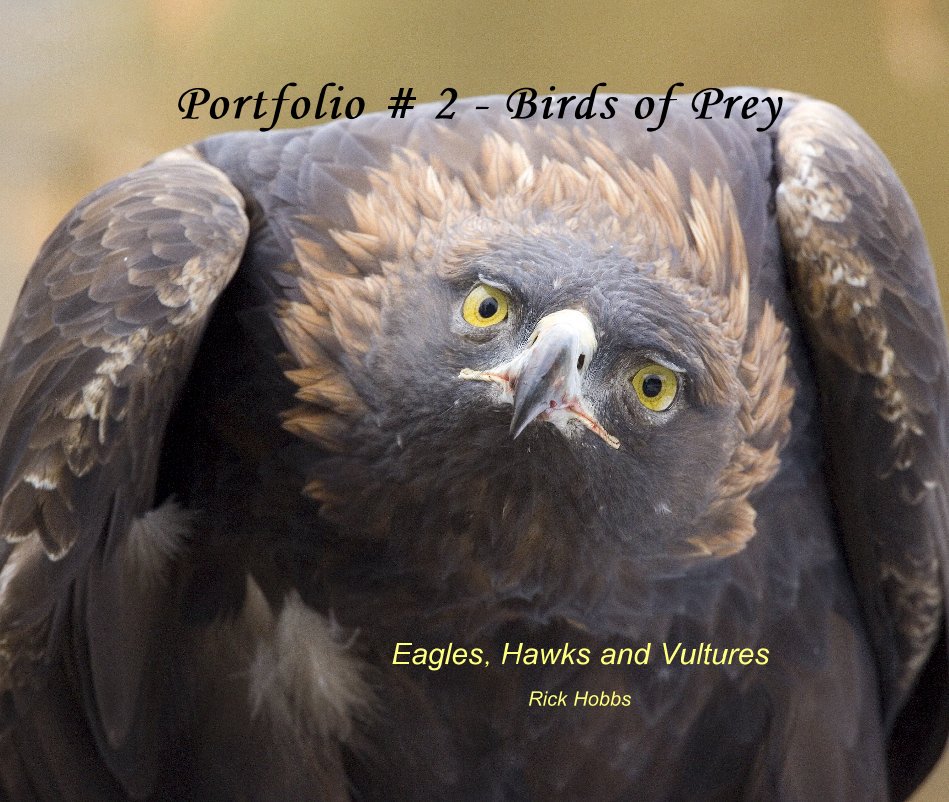 View Portfolio # 2 - Birds of Prey by Rick Hobbs