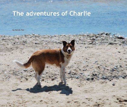 The adventures of Charlie book cover
