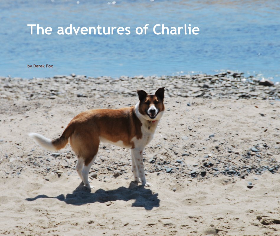 View The adventures of Charlie by Derek Fox