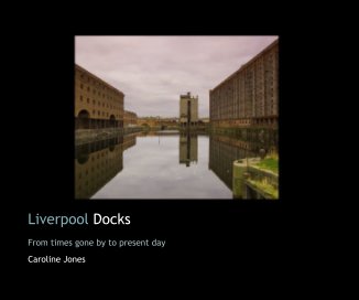 Liverpool Docks book cover