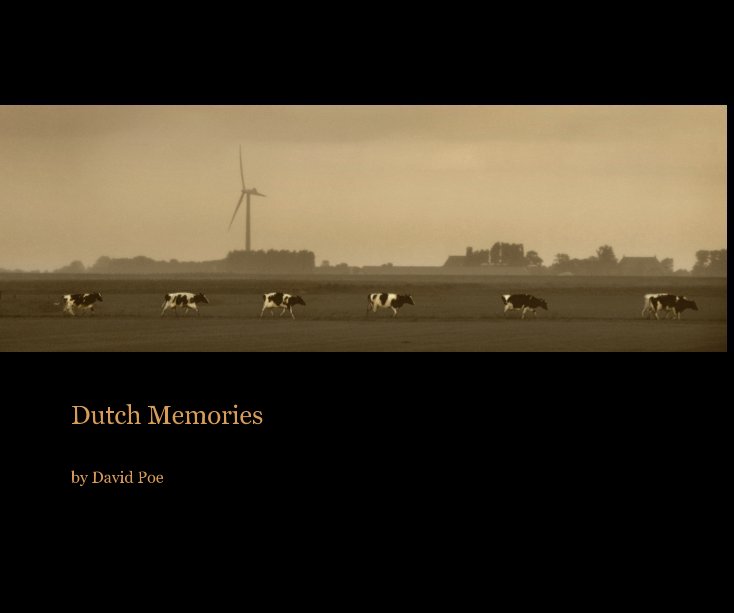 View Dutch Memories by David Poe