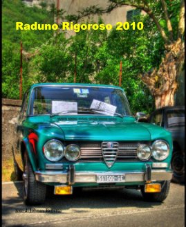 Raduno Rigoroso 2010 book cover