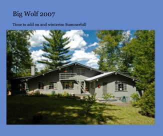 Big Wolf 2007 book cover