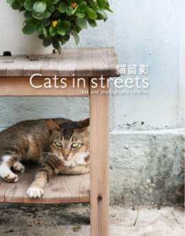 Cat in streets book cover