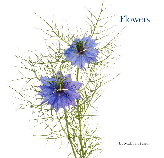 View Flowers by Malcolm Farrar