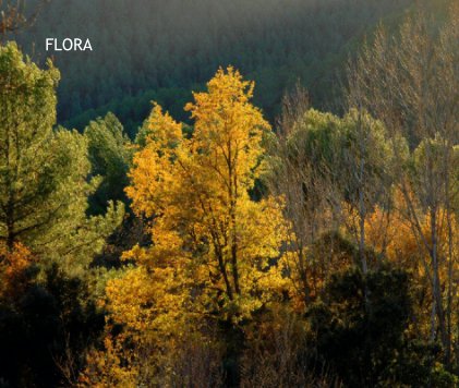 FLORA book cover