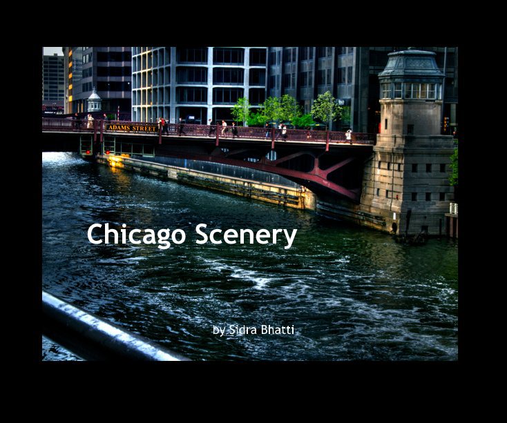 View Chicago Scenery by Sidra Bhatti