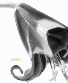 pollen. book cover