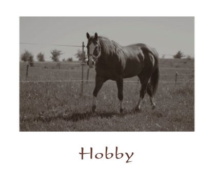 Hobby book cover