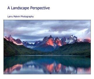 A Landscape Perspective book cover
