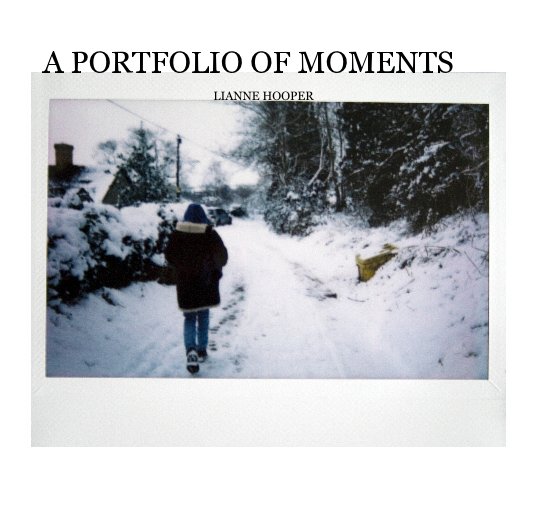 View A PORTFOLIO OF MOMENTS by LIANNE HOOPER