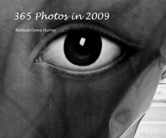 365 Photos in 2009 book cover