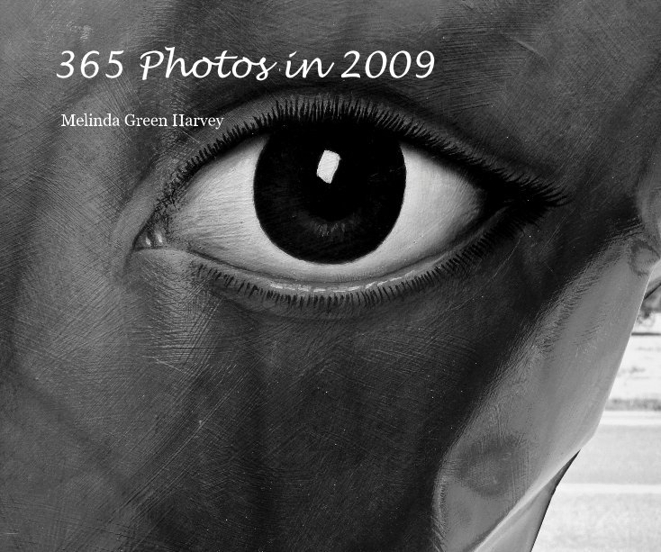 Ver 365 Photos in 2009 por Melinda Green Harvey