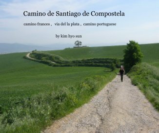 Camino de Santiago de Compostela book cover