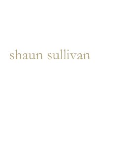 shaun sullivan book cover