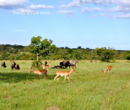 South Africa 2010 book cover
