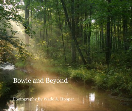 Bowie and Beyond book cover