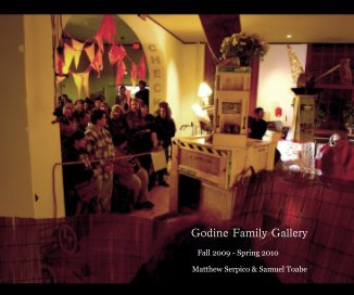 Godine Family Gallery 2010 book cover
