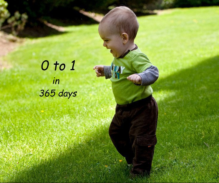 View 0 to 1 in 365 days by Sweet Life Portraits