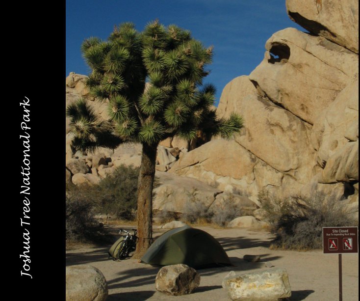 View Joshua Tree National Park by Nancy Snell