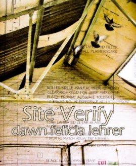 Site Verify book cover