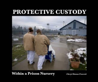 PROTECTIVE CUSTODY book cover