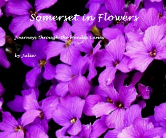Somerset in Flowers book cover