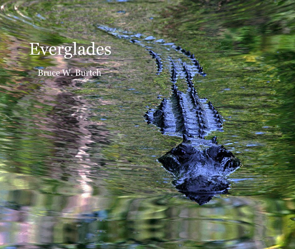 View Everglades by Bruce W. Burtch